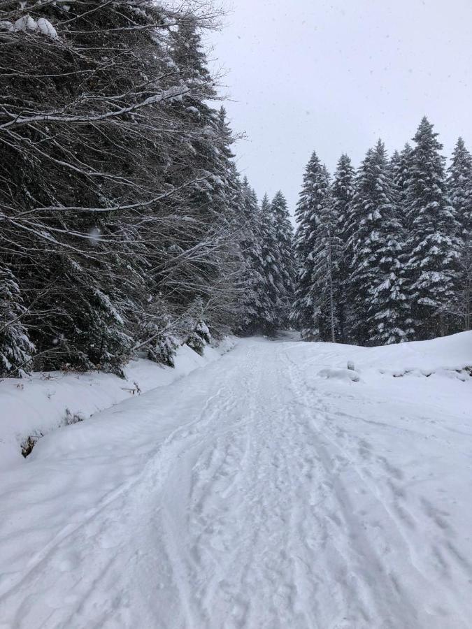 Apartment Fondue Chocolat, 100m Des Pistes Wifi Fibre, Parking Prive