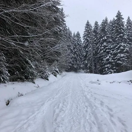 Studio Fondue Chocolat, 100M Des Pistes Wifi Fibre, Parking Prive Bernex Exterior foto
